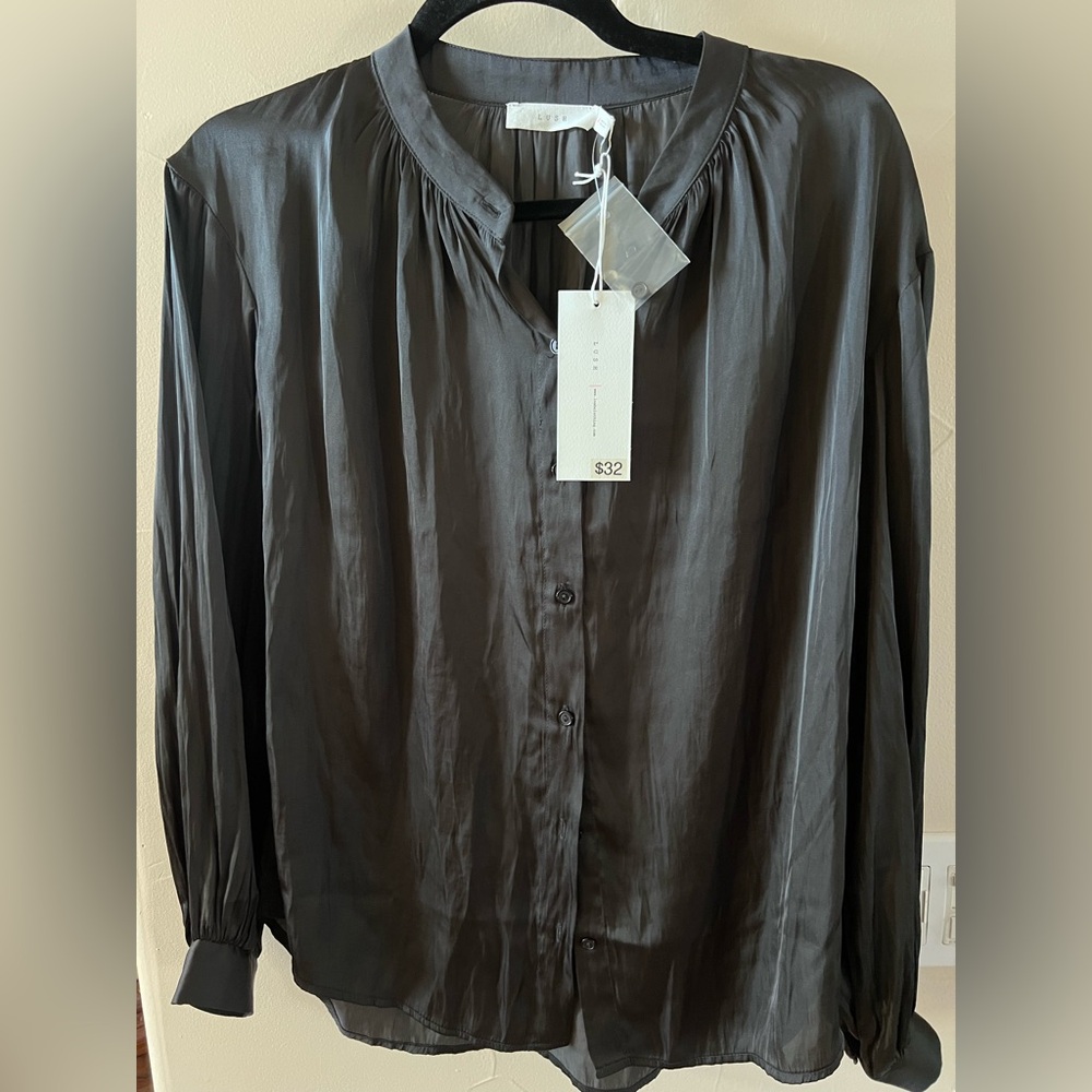 Lush Black Sheer Long-Sleeve Button Front Blouse